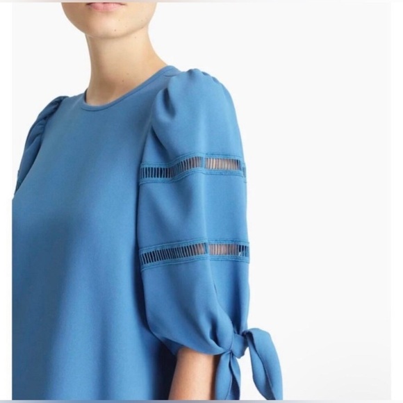 See by Chloe Riverside Blue‎ Shift Puff Sleeve Dress Size Large - Picture 4 of 16